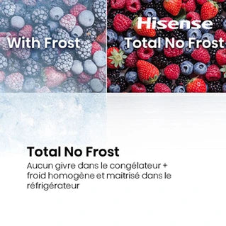 Réfrigérateur congélateur en bas Hisense RB3B250NEWE1 Blanc