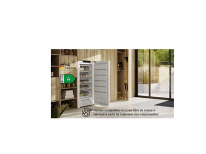Congélateur armoire Liebherr FNA 6635-20