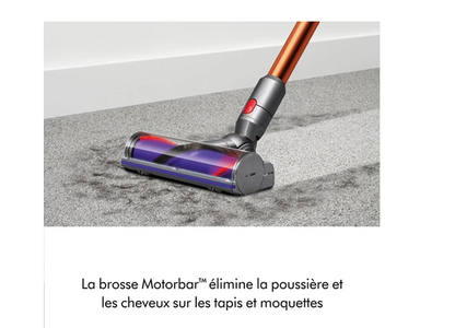 Aspirateur balai Dyson V10 ABSOLUTE