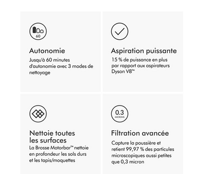 Aspirateur balai Dyson V10 ABSOLUTE